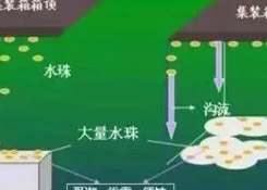 集裝箱里進(jìn)水，誰的錯(cuò)？如何預(yù)防應(yīng)對(duì)？