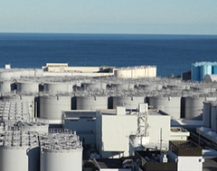 日本宣布8月24日啟動福島核污染水排海,香港、澳門:禁止進(jìn)口這10地食品