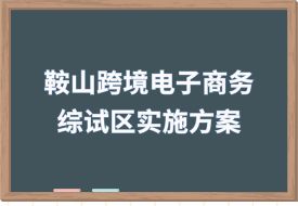 打造跨境電子商務(wù)直播之城,中國(guó)(鞍山)跨境電子商務(wù)綜合試驗(yàn)區(qū)實(shí)施方案印發(fā)