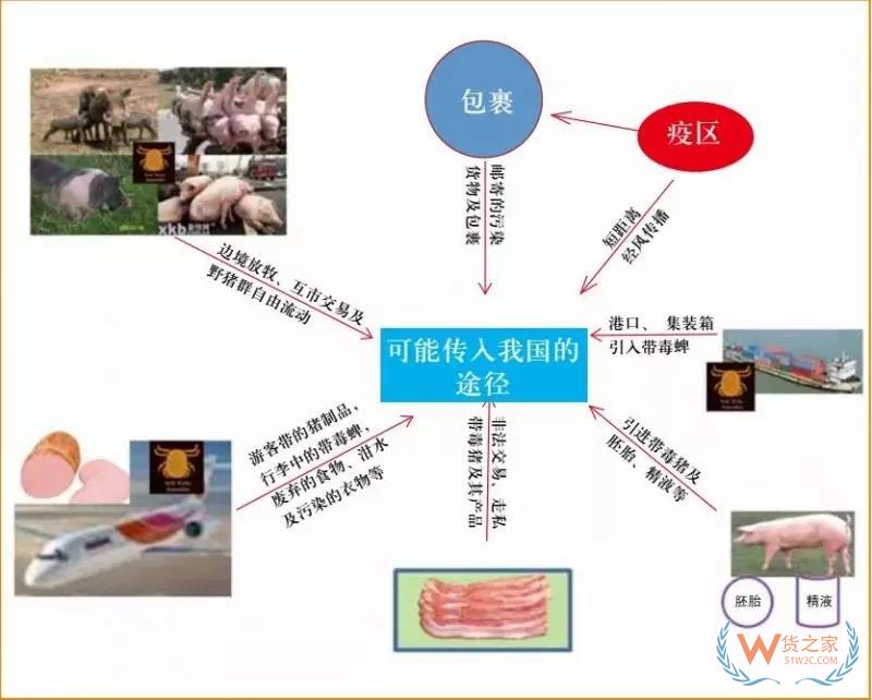 非洲豬瘟防控，你需要知道的在這里！貨之家
