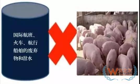 非洲豬瘟防控，你需要知道的在這里！貨之家