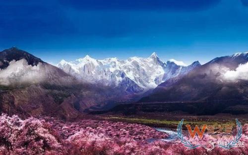 林芝保稅倉,保稅區(qū)倉儲物流,進(jìn)口跨境電商,保稅倉庫管理,跨境電商保稅BBC—貨之家