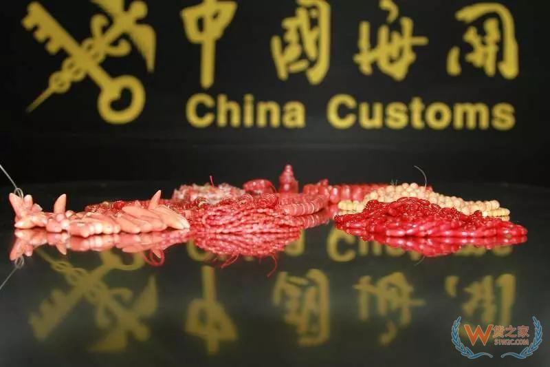 青島海關(guān)查獲紅珊瑚制品1.49千克，大榭海關(guān)首次截獲彈琴水蛙—貨之家