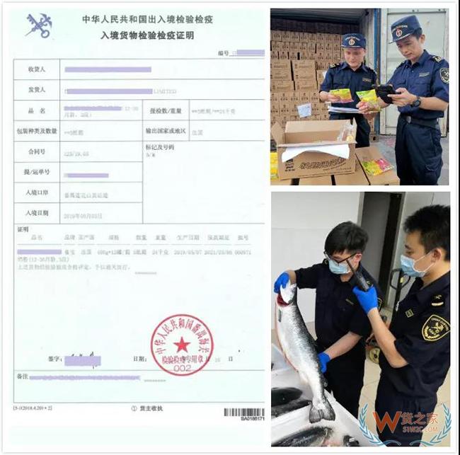 消費小貼士 | 如何辨別“真假”進口食品？——貨之家